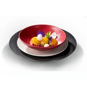 Medard De Noblat Coffret 6 Assiettes Gourmet D25cm 12