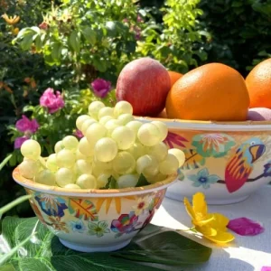Les Jardins De La Comtesse Grand Saladier Avec Motif Perroquet Sur Dégradé Orange 25 Cm 7
