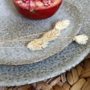 Novastyl Lot De 6 Assiettes à Dessert En Grès 19,5cm 10