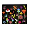 Pylones Planche En Verre 22