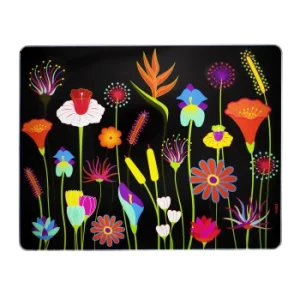 Pylones Planche En Verre 12