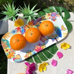 Les Jardins De La Comtesse Plat à Cake Rectangulaire En Mélamine 37,5 Cm Avec Motif Perroquet 9
